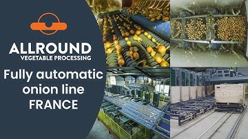 Fully automatic onion line | FDA | France | Allround Vegetable Processing