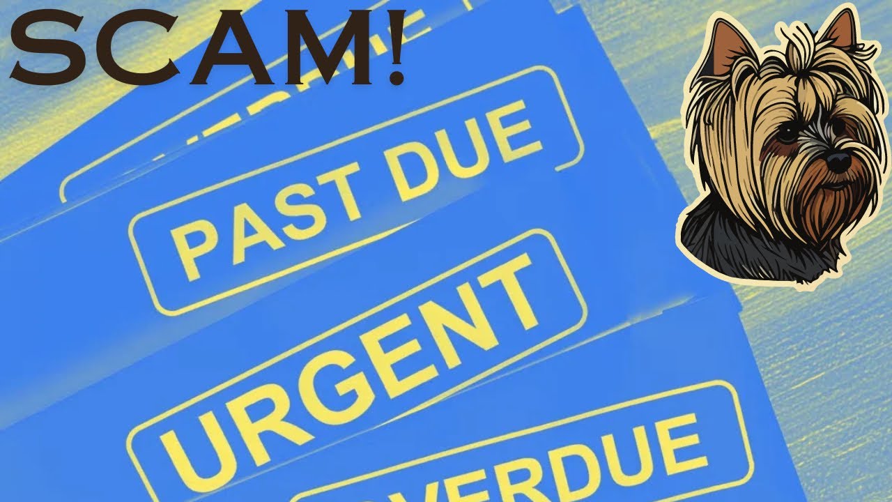 Confronting HORRIBLE Debt Collection Scammers!