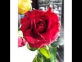 Good Morning Friend Flower - Good Morning Friend Flowers Gif Goodmorningfriend Flowers Butterflies Discover Share Gifs / Be thankful for every good thing that surrounds you.