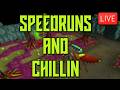 SPEEDER OF RUNS, GETTER OF LOOT | LIVE 🎤