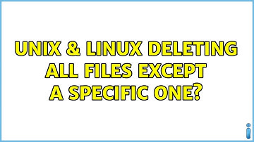 Unix & Linux: Deleting all files except a specific one?