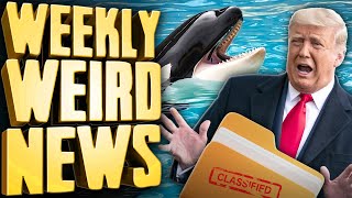 Is Trump SUNK? + Orca War Continues - Weekly Weird News