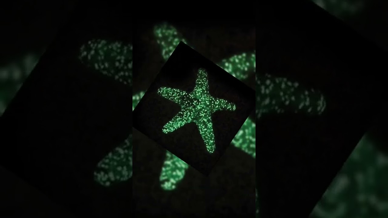 Glowing starfish 😯