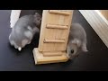 【衝撃】この後めちゃくちゃ〇〇した…