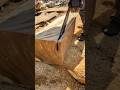 Aserrando madera blanda😍#woodwork #chainsaw #asmrvideo