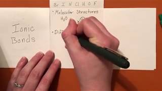 Types of Bonds Foldable