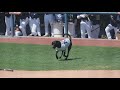 Meet UC Davis&#39; &#39;Bat dog&#39; | ABC10 Sports