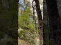 либо / либо - вариантов немного