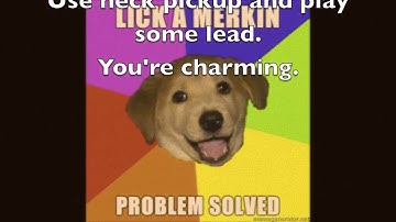 Catalinbread Merkin Fuzz Pedal Guided Tour Through the 60s