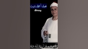 تلاوة تلامس القلوب بصوت الشيخ محمد احمد شبيب