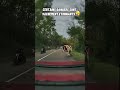 Certains dangers sont vachement étonnants... 🫣 #dashcam #automobile #france #route #shorts #vaches