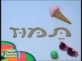 Shalom Sesame The Hebrew Calendar Tammuz