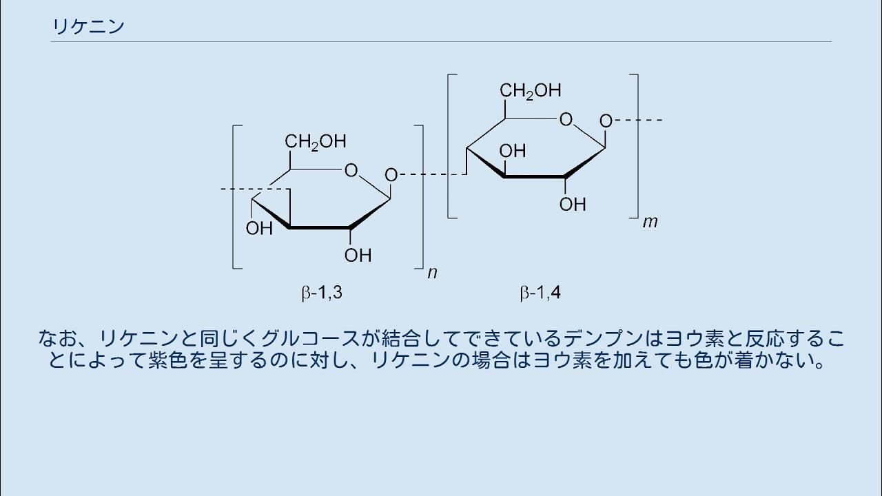 リケニン YouTube