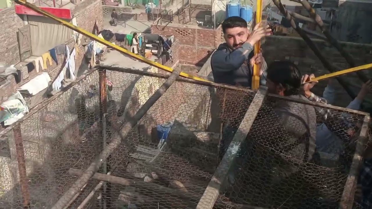 @# دوستوں کی مدد سے جال چھت پر لے گَے