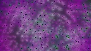 Video Background - Motion Graphics Background Video 4K