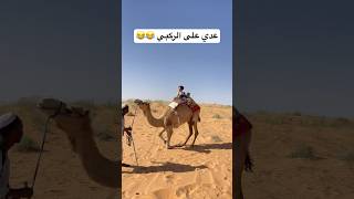 عدي على الركبي😂🐪