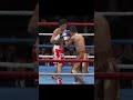 GOD LEFT 山中慎介 VSトマス・ロハス戦「神の左が炸裂」#shorts#ボクシング#boxing#山中慎介#ボクシング世界戦#ボクシング世界チャンピオン#バンタム級