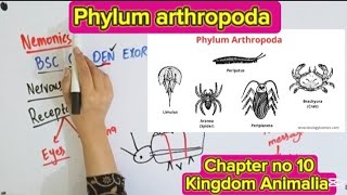 Phylum arthropoda|Characteristics|Reproduction|Class 11 biology|chapter no 10