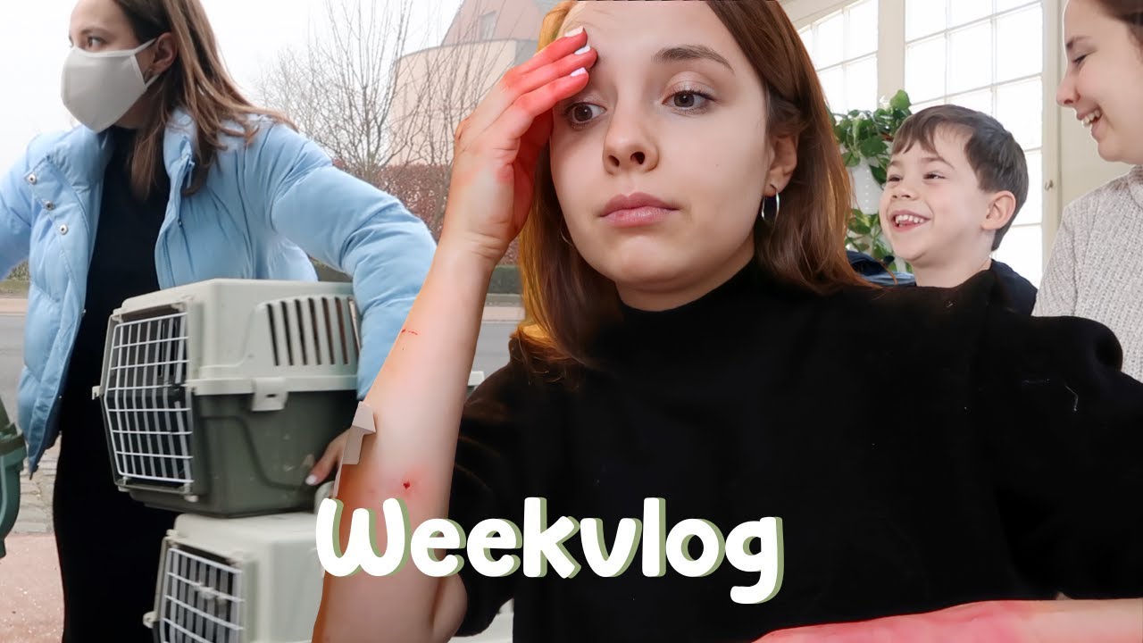 Aangevallen door zwerfkat, pizza date en dieren verzorgen | WEEKVLOG