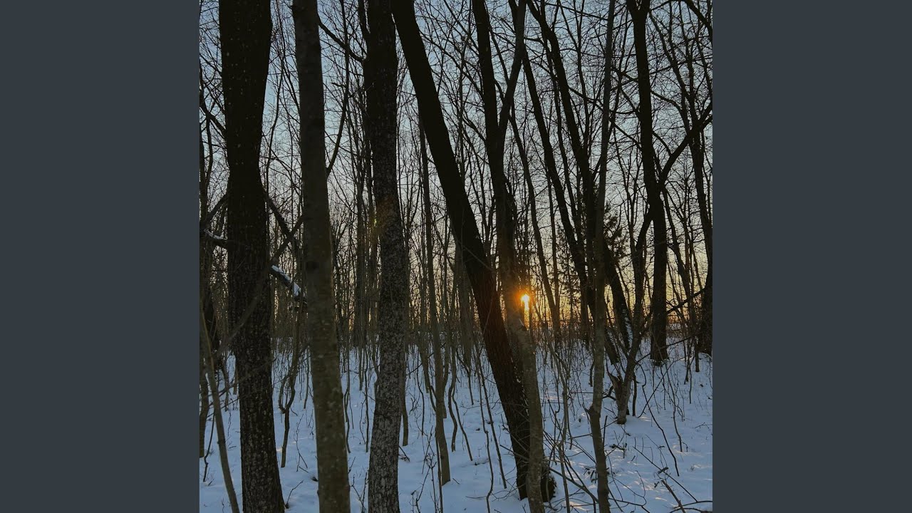 i wanna see you again