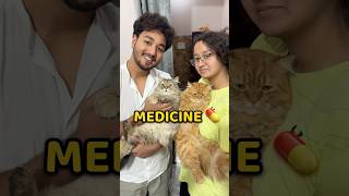 Medicine on time is very important for pets.. #shorts #vlog #minivlog #cat #vetic #ad