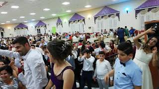Şensesler Orkestrası irtibat 0536 979 4470