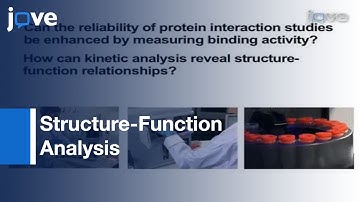 Correct Protein Concentration For Kinetics & Affinity Determination l Protocol Preview