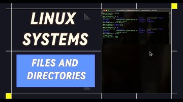 Essential Linux Commands: Navigate, Create & Manage Files and Directories