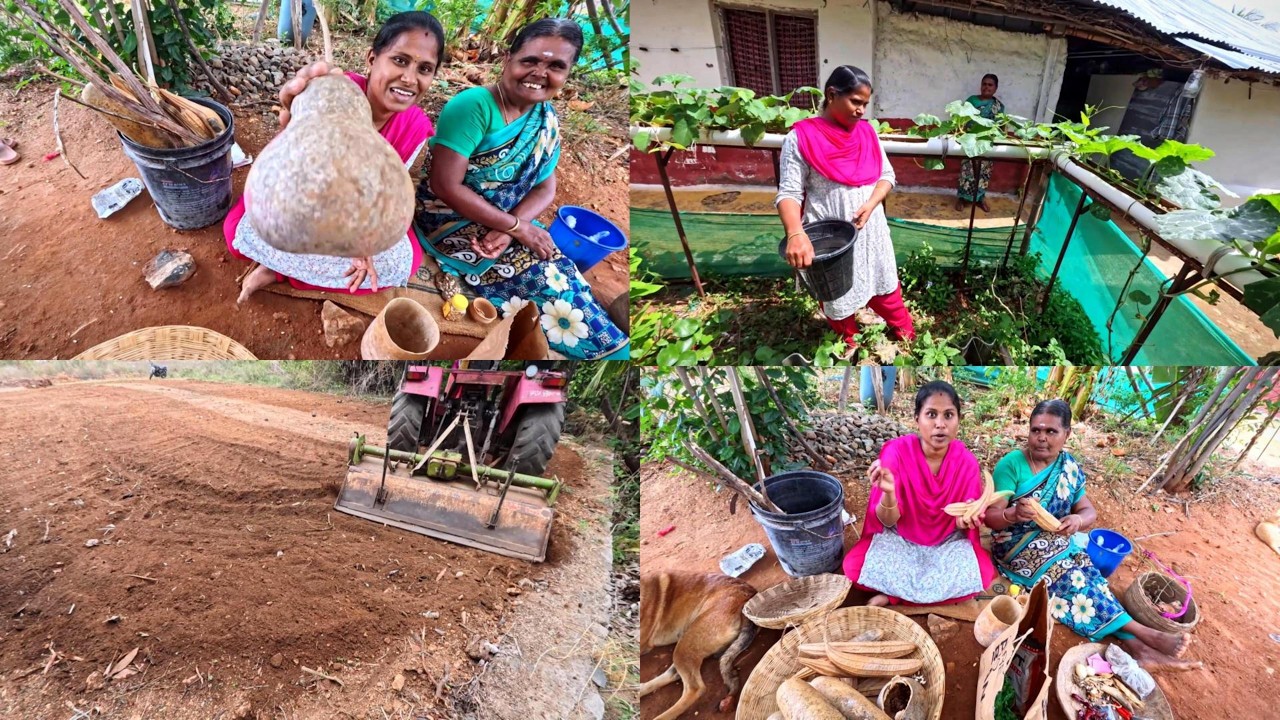 நாங்க  Serthu Vechatha Vechu Oru  திருவிழா-ve  Nadathalaamunga😍 ||  INDIAKUTTY