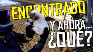 RESCATAMOS a un PERRITO de una muerte segura