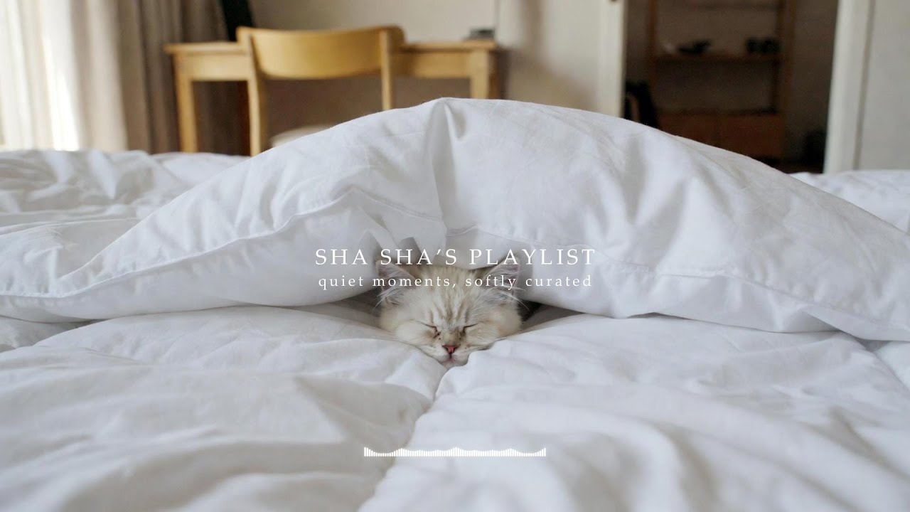 [playlist] 밤길을 달릴 때 흐르는 팝 | Night Driving · Pop Playlist