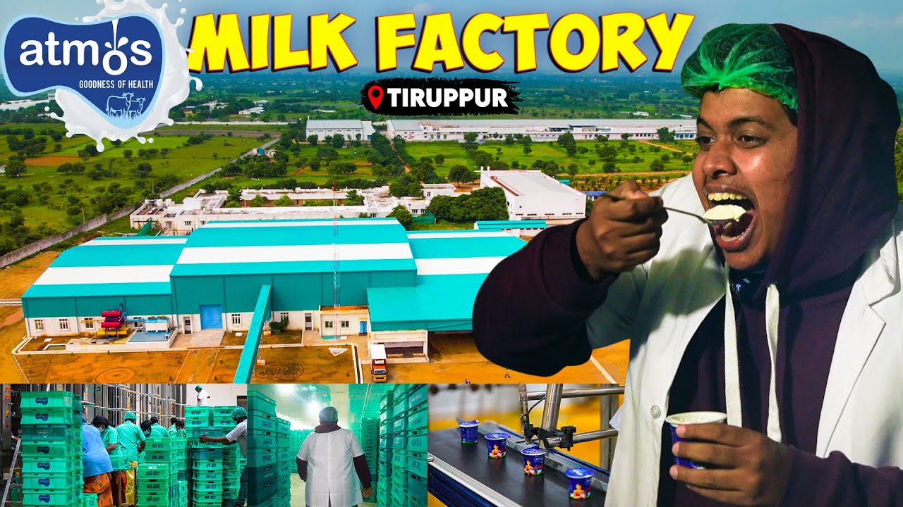 Milk Factory Tour Atmos Tiruppur Irfan's View YouTube