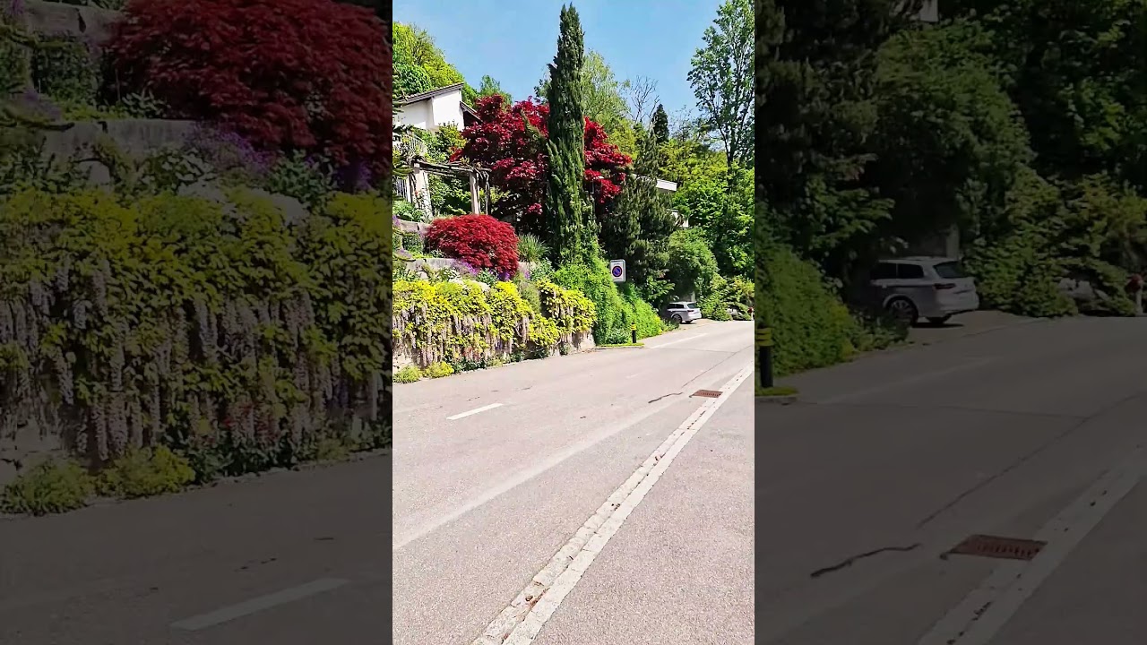 Вуличками Бадена 