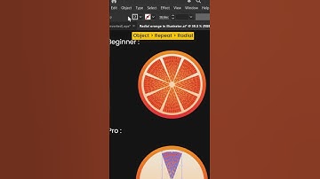 Beginner vs Pro in Adobe Illustrator cc Tutorial