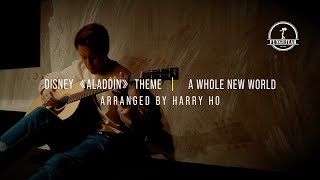 With TabALADDIN   A WHOLE NEW WORLDGuitar Fingerstyle Cover by Harry Ho  FUNGUITAR