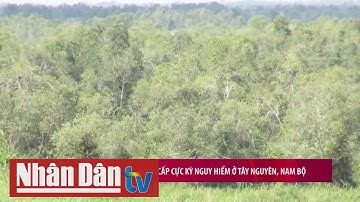 Cảnh báo cháy rừng cấp cực kỳ nguy hiểm ở Tây Nguyên, Nam Bộ | Truyền Hình Nhân Dân