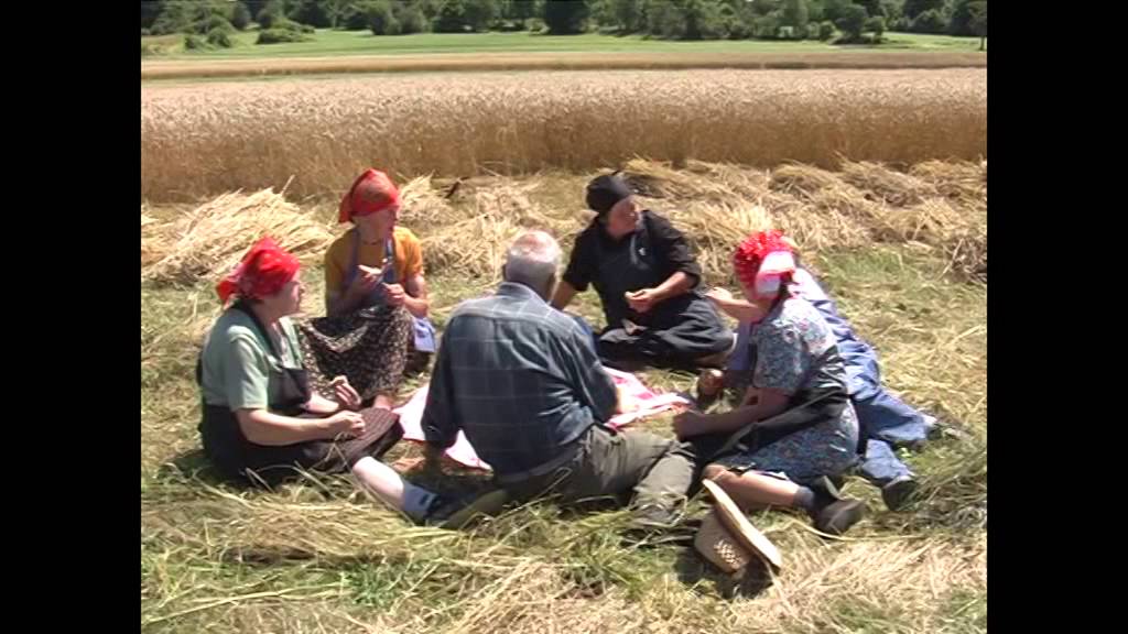 Ročna žetev s srpi / Manual harvest with sickles YouTube
