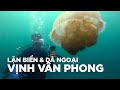 Trải nghiệm lặn biển và dã ngoại trên vịnh Vân Phong, Nha Trang | Huy Kutis