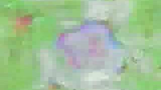 analog feedback psychedelic mesmerizer