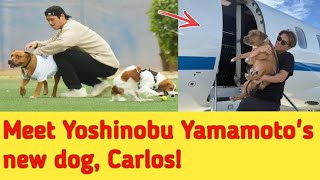 Meet Yoshinobu Yamamoto's new dog, Carlos! 🐾
