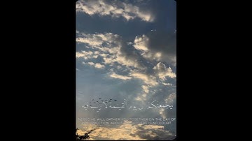 سورة الأنعام - إبراهيم محمد