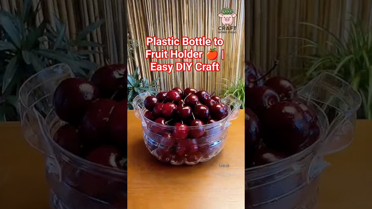 Plastic Bottle to Fruit Holder 🍎 | Easy DIY Craft 