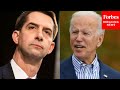 Tom Cotton blasts Biden, Merrick Garland for "open border" policies