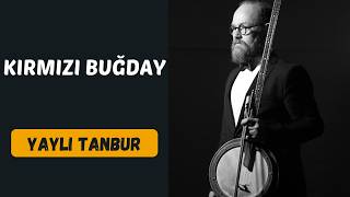 Kırmızı Buğday - Yaylı Tanbur - Ömer Göktepeliler