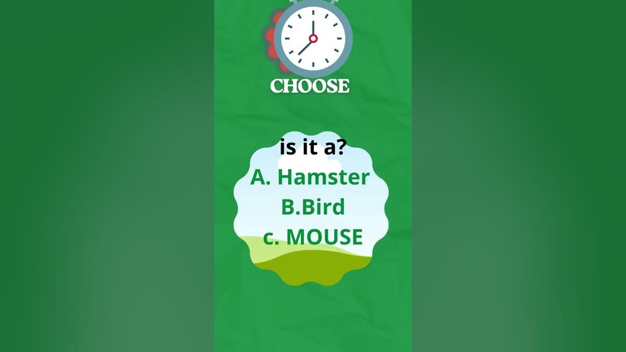 Fun animal quizzes - YouTube