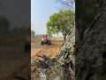 Tractor 🚜 cultivator | #shorts #youtubeshorts #trending