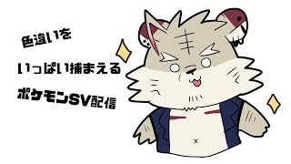 【ポケモンSV】色違いいっぱい捕まえる配信！【蜜虎/獣VTuber】