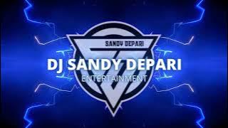 DJ SANDY R4L