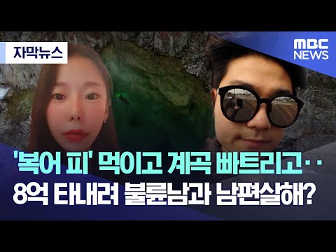 [자막뉴스] &amp;#39;복어 피&amp;#39; 먹이고 계곡 빠트리고‥8억 타내려 불륜남과 남편살해? (2022.03.31/MBC뉴스)