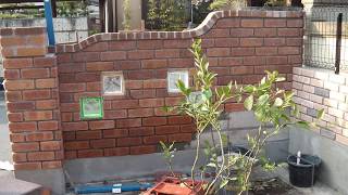 北側施工(北西塀制作) part 2